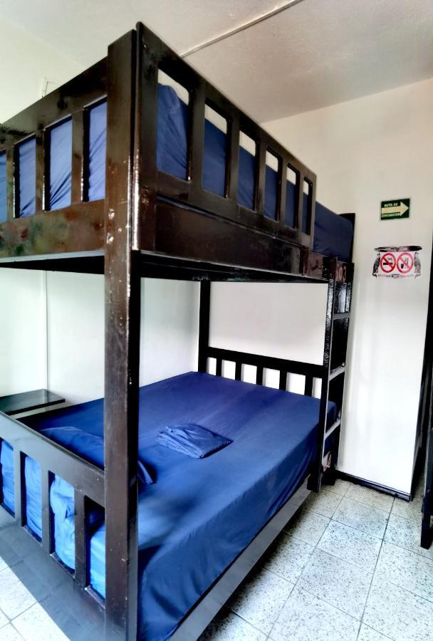 Single Bed in Female Dormitory Room