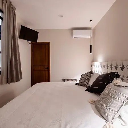 Casa Irake-2